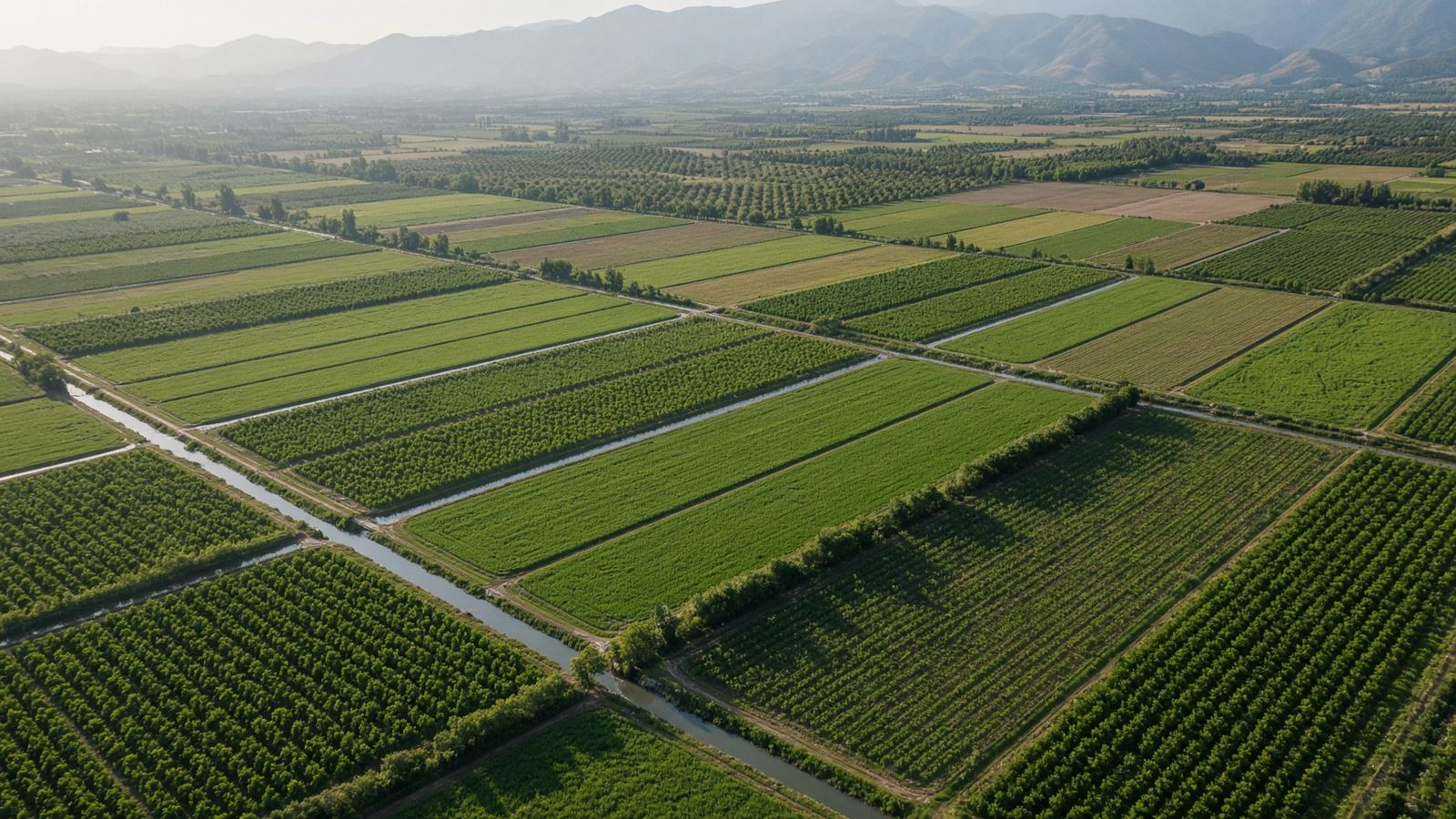 Vista aérea de predios agrícolas divididos por canales de riego
